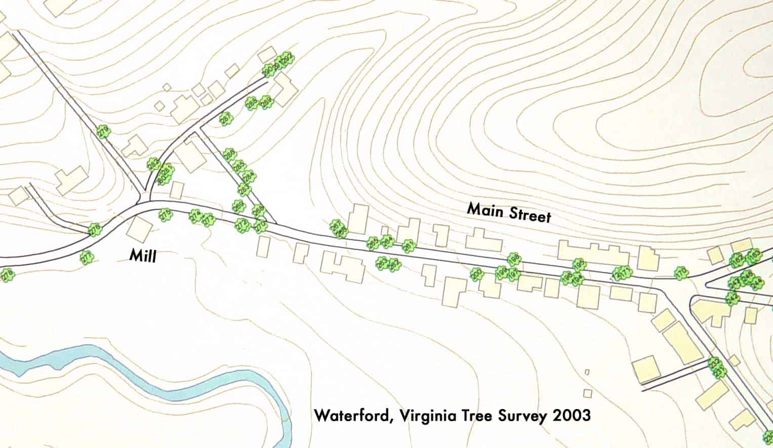 How to Identify Maple Trees  Waterford Citizens' Association (WCA) of  Waterford Virginia